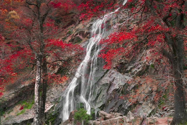 breathtaking waterfall in the Wicklow Mountains.