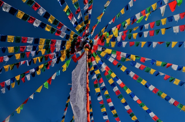 there are many festivals of ladakh that is a must experience