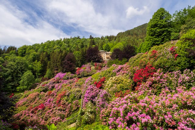 Portmeirion village garden offers a tiny taste of Italy.