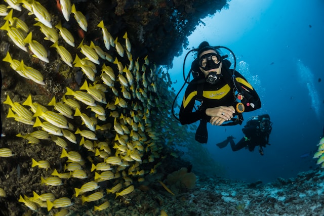 stunning underwater landscapes 