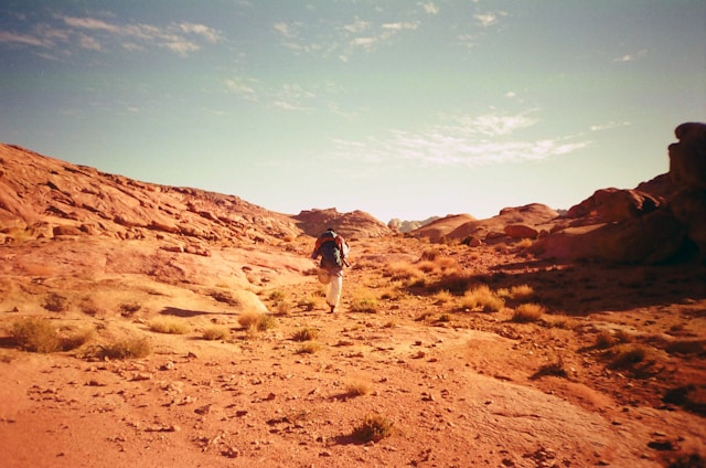 vast deserts are best explored by going on a safari, 