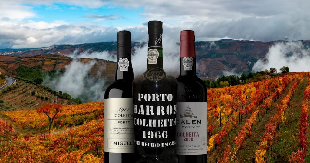 book a port wine tasting tour