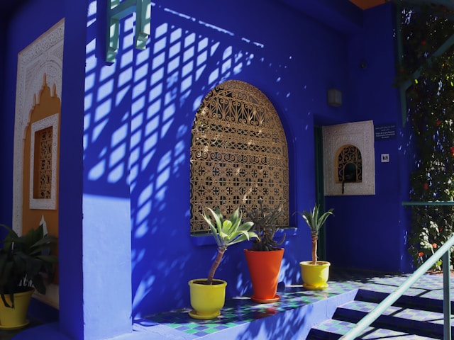 exclusive shade of Majorelle Blue is very attractive