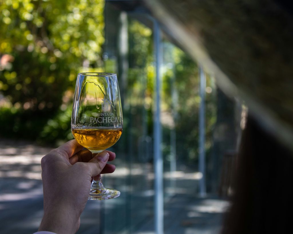 book a port wine tasting tour
