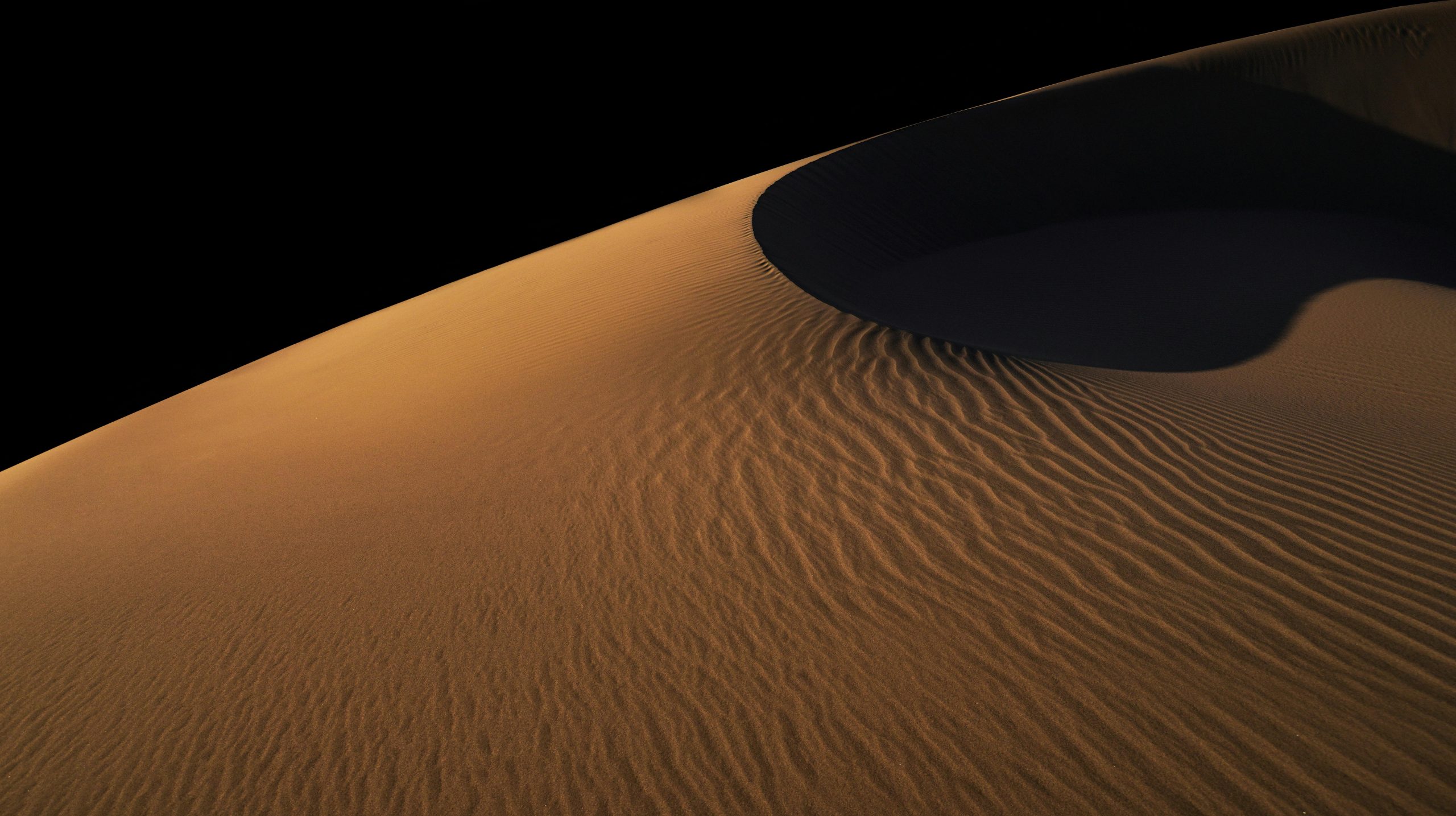 desert safari at night is must do activity