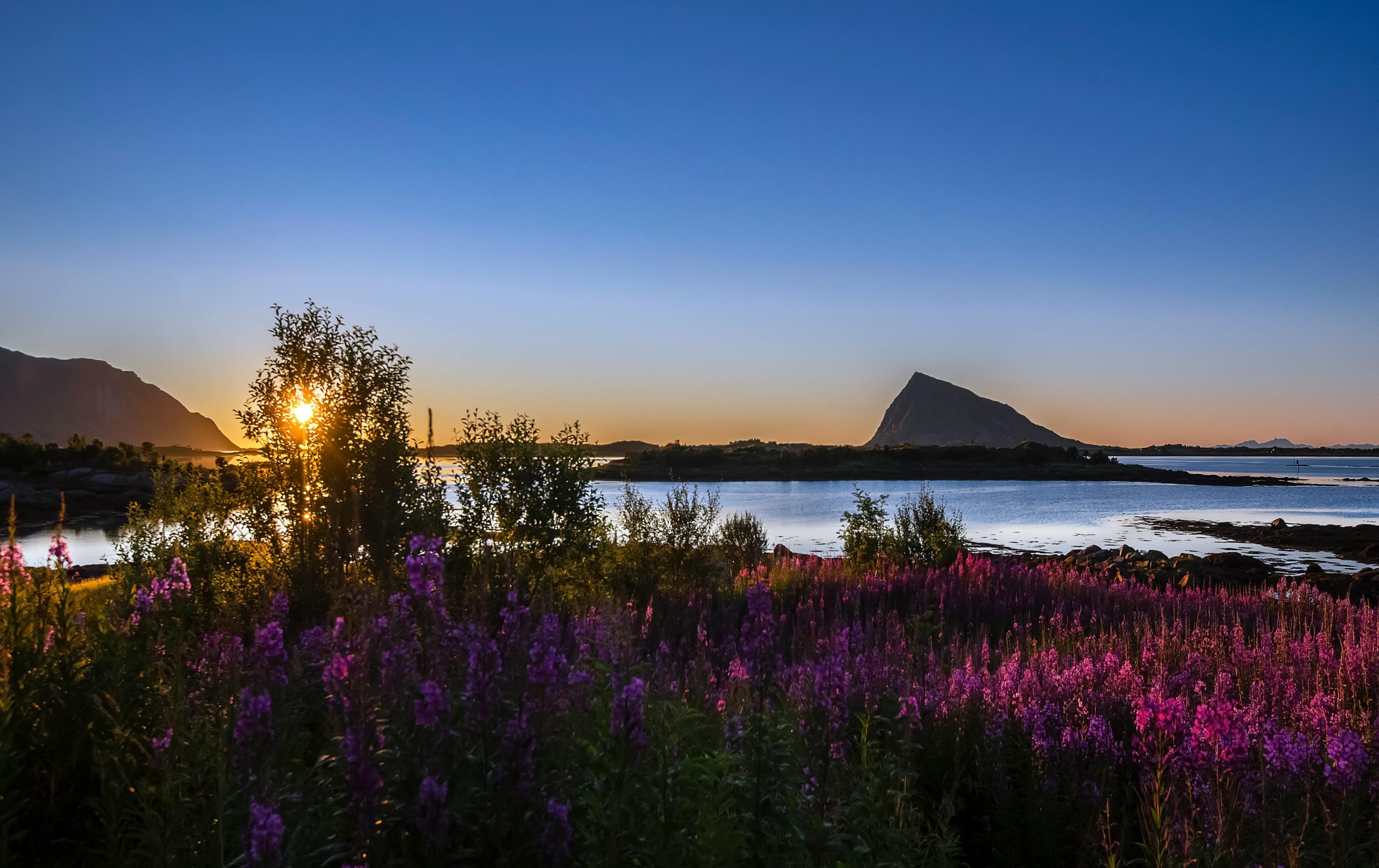 midnight sun tromsø