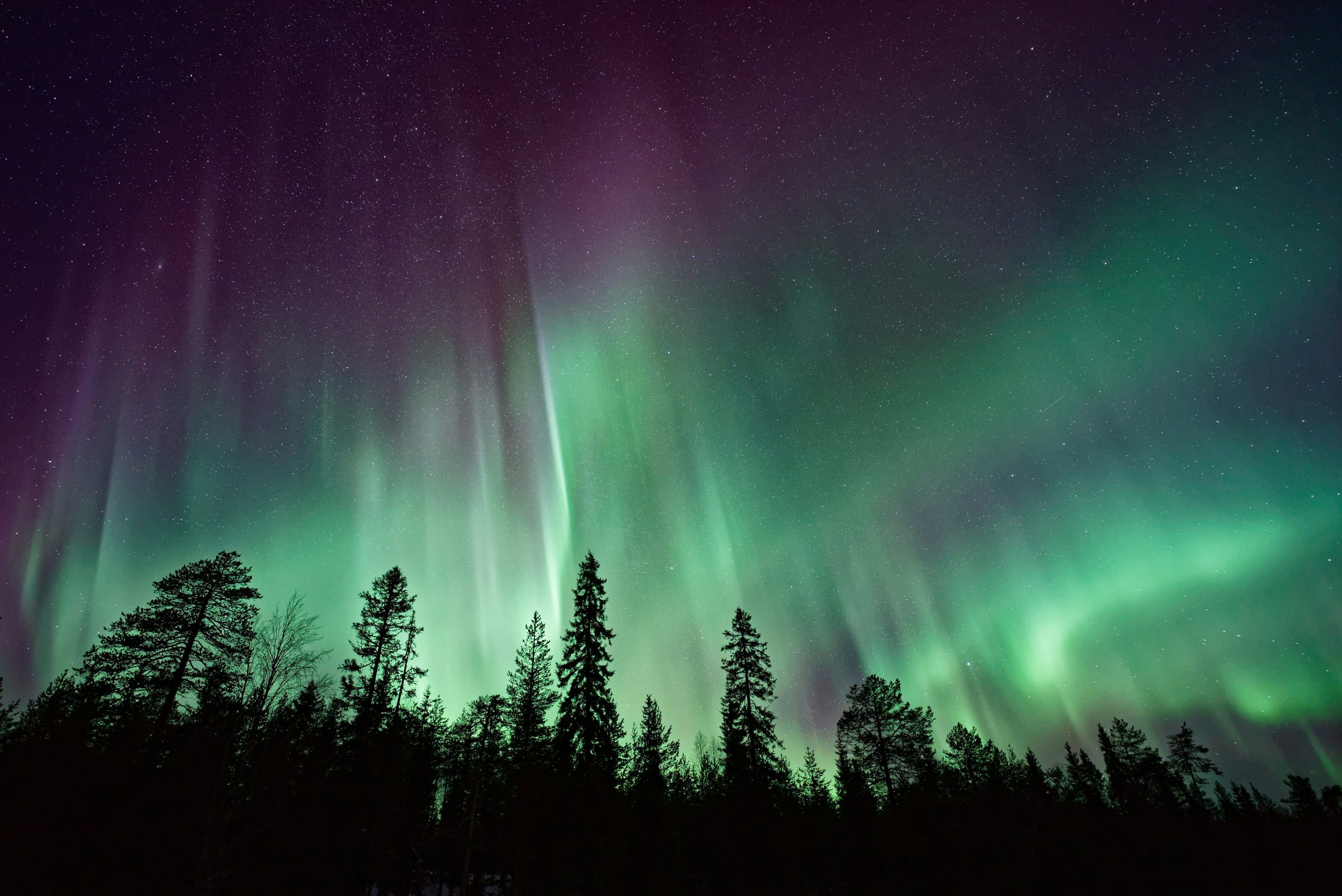 northern lights in tromsø
