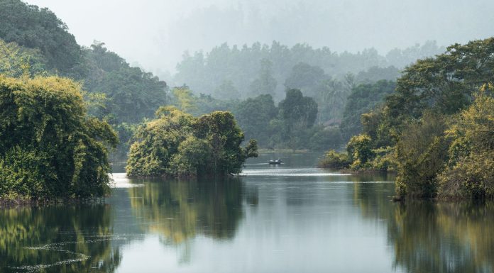 rivers in karnataka, (Image Source: Pexels) rivers in karnataka