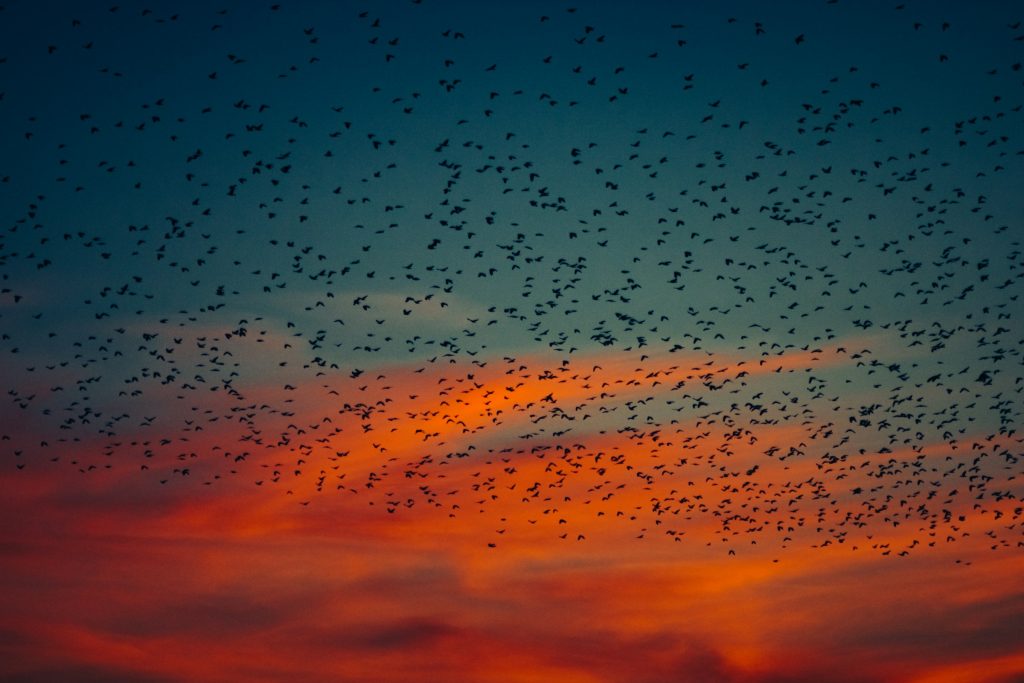 Natural Sky Phenomena