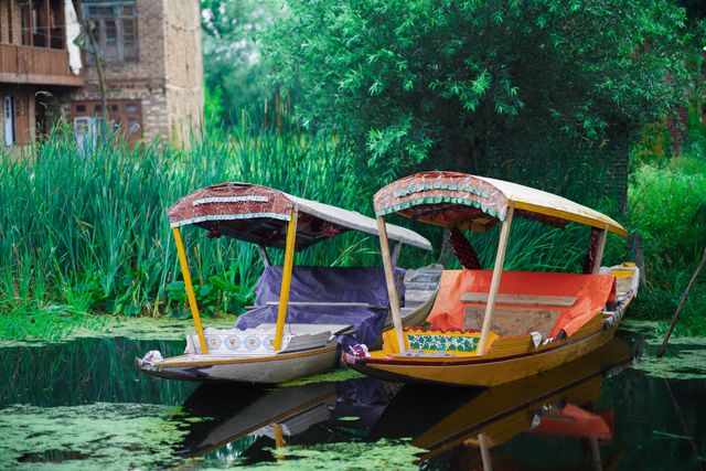 must experience shikara ride at the lake
