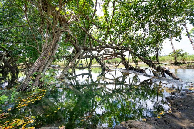 Bheemeshwari, road trips from Bangalore, Bheemeshwari adventure and nature camp