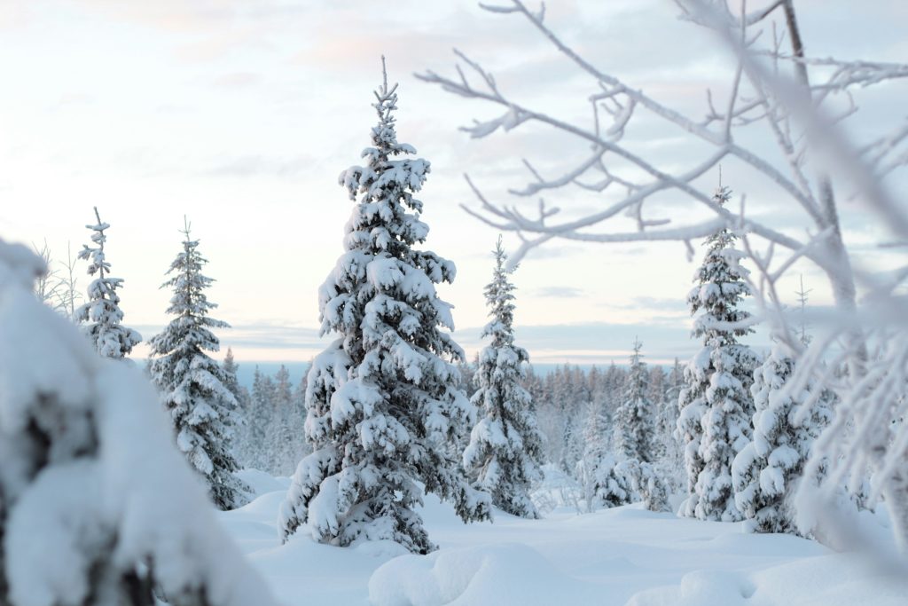 trip to lapland is a must in winter