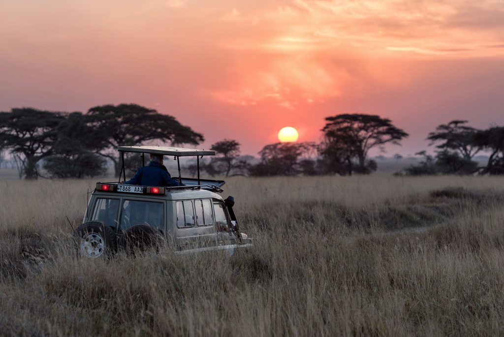 serengeti safari is must do activity