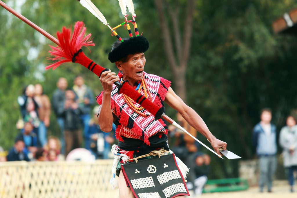hornbill festival celebrated by which tribe