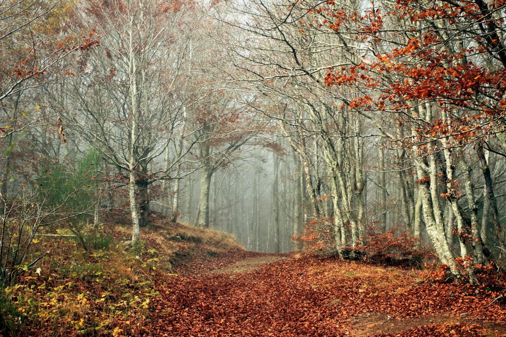 cool places to visit in the fall