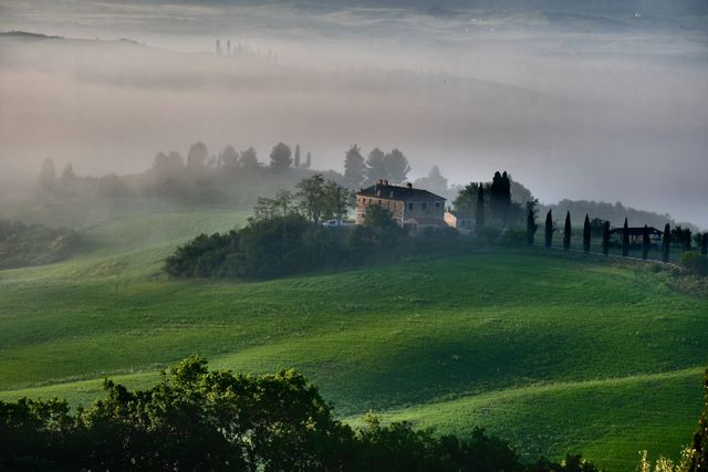 Serene misty landscape 